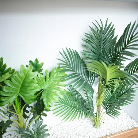 La Corte Maison d'hôtes *