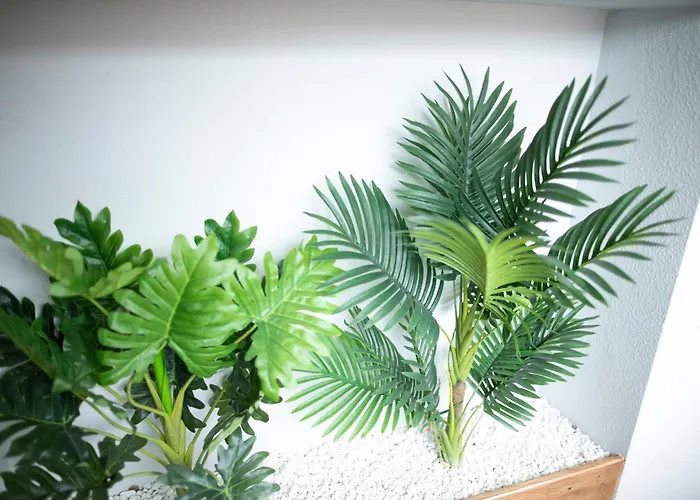 La Corte 게스트하우스 *