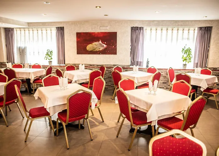 拉科尔特旅舍 * 卡里翁德洛斯孔德斯